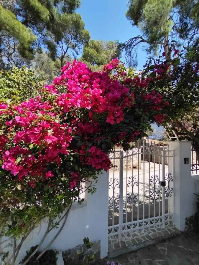 Rigos House At Askeli Beach, Poros Island Villa Poros Town Exterior photo